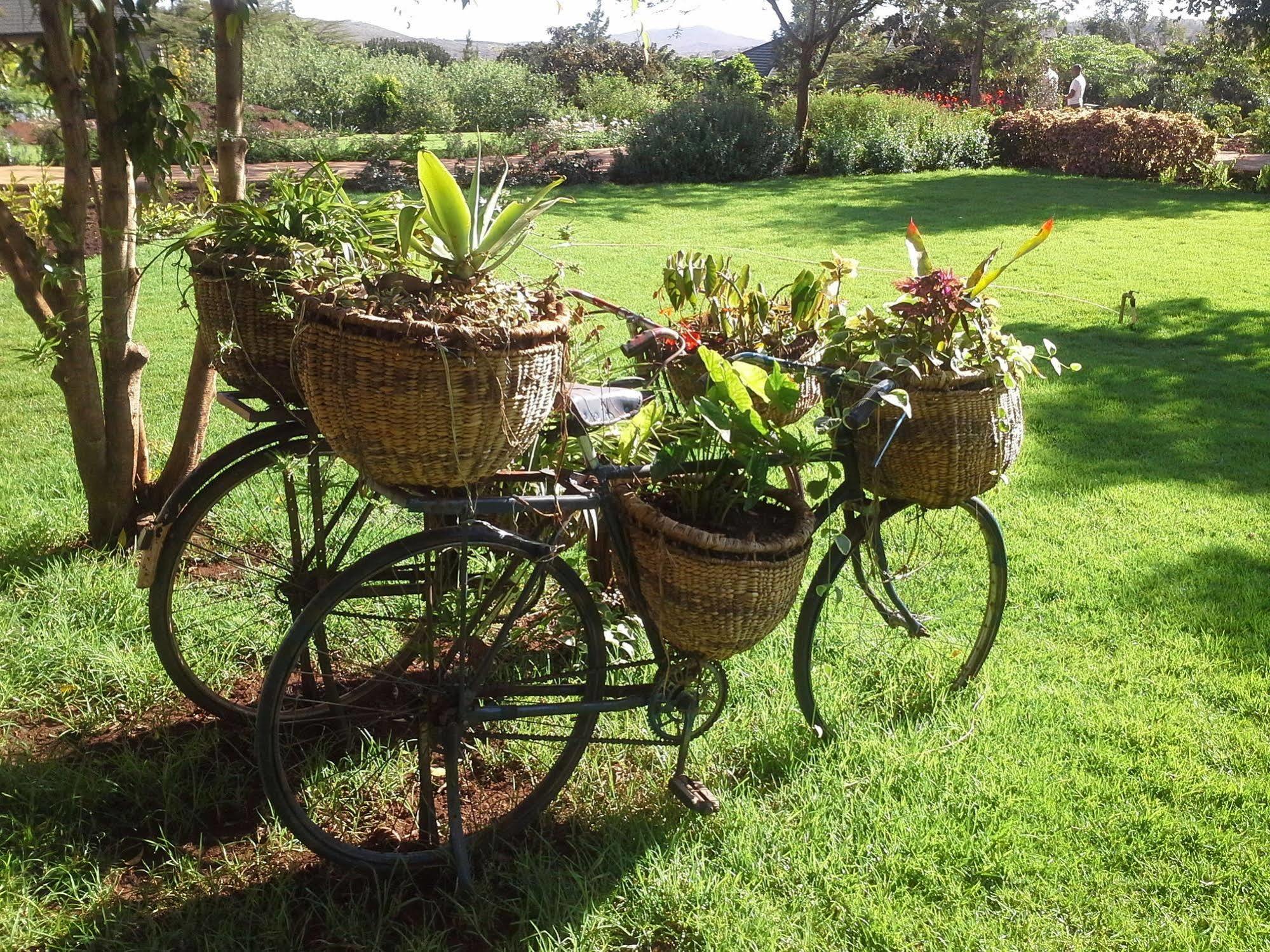 Acacia Farm Lodge Ngorongoro Exterior photo